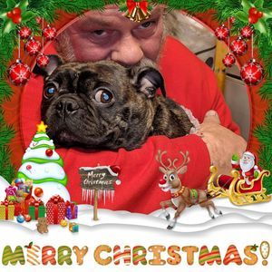 Meet your Posher, Ann-marie